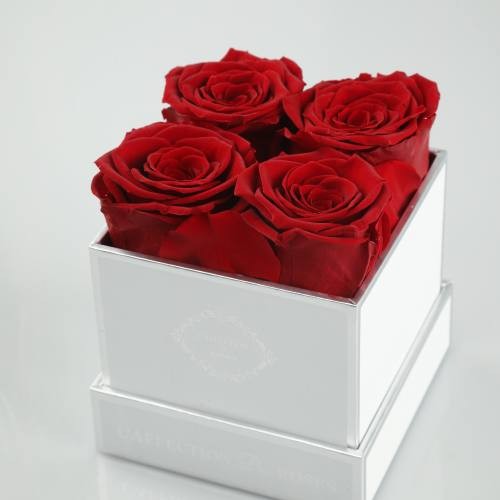 4 roses in square box 