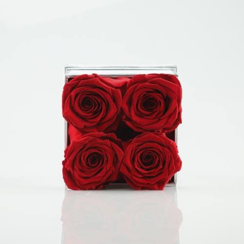 4 roses in square box 
