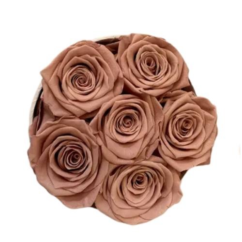 6 forever roses in round box 