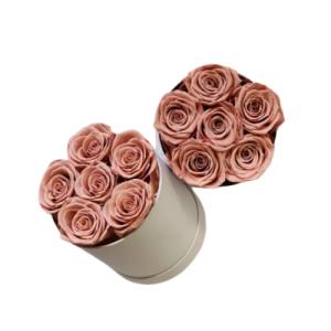 6 roses in round box