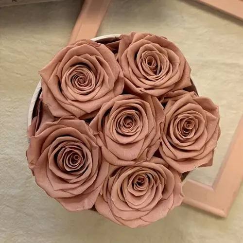 6 roses in round box