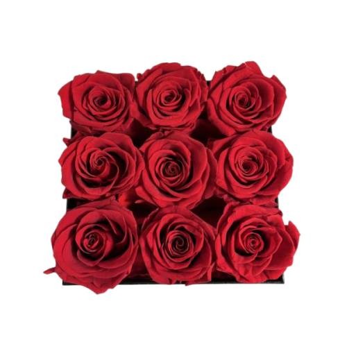 amazing preserved rose gifts