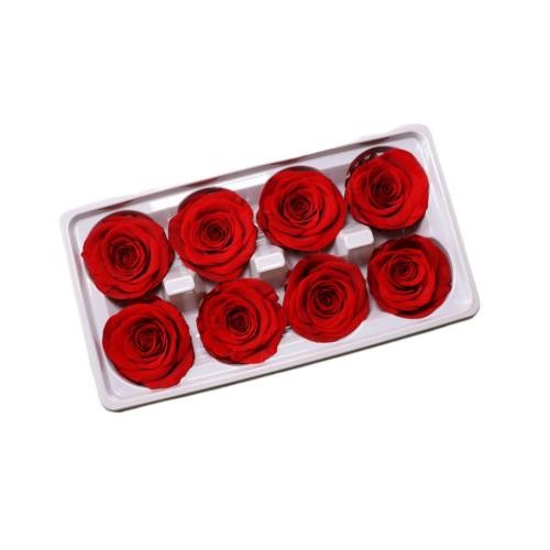 eternal rose 4-5cm