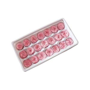 eternity garden rose 2-3cm 