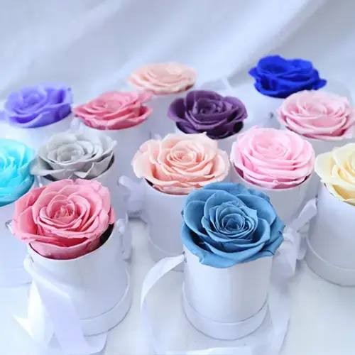 eternity rose with mini box 