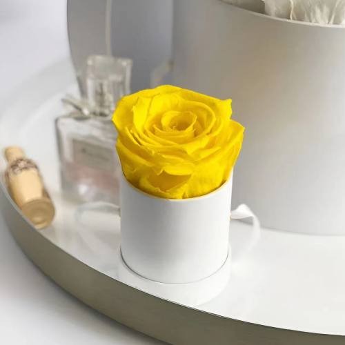 eternity rose with mini box 
