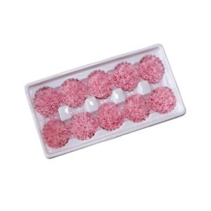 everlasting carnation