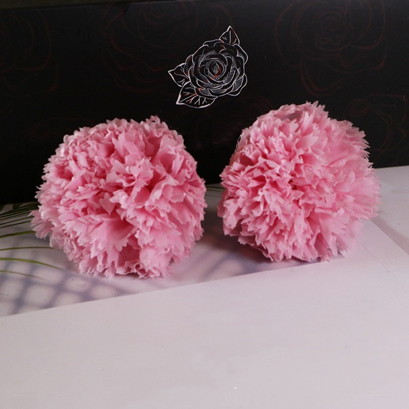 everlasting carnation