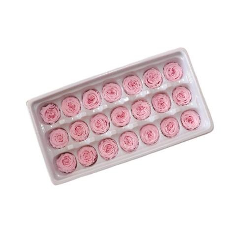 everlasting garden rose 2-3cm 