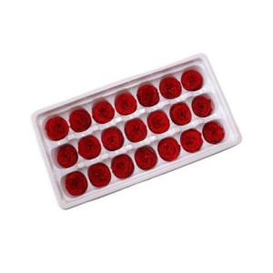 everlasting garden rose red