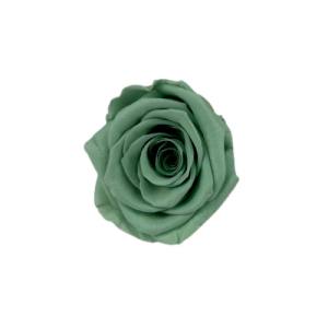 everylasting rose 4cm