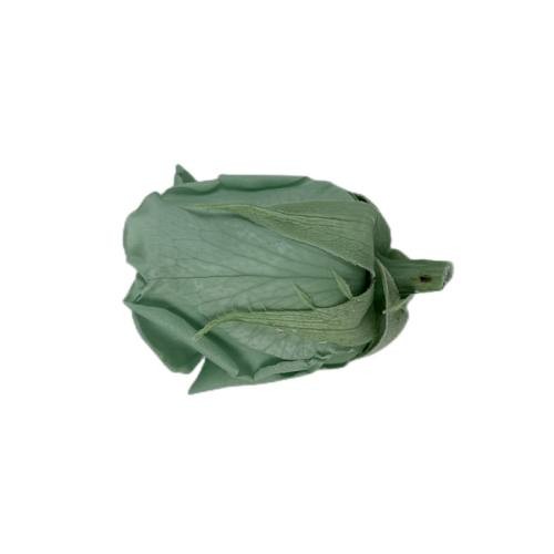 everylasting rose 4cm