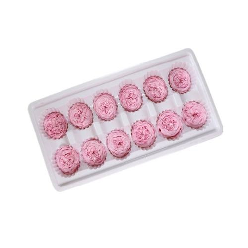 forever garden rose 3-4cm