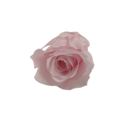 lasting eternity rose