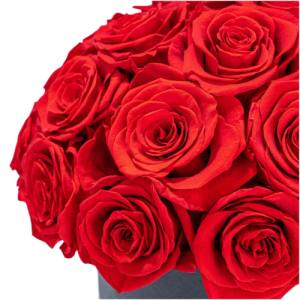 luxury preserved rose hat box