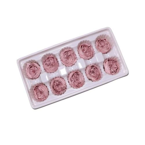 preserved austin rose 4cm