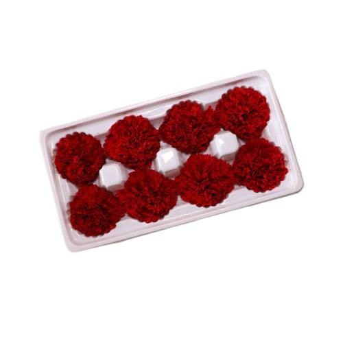 preserved carnation