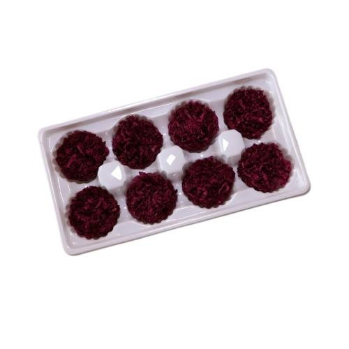 preserved carnation