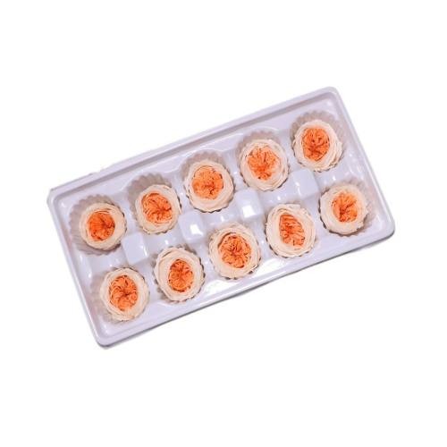 preserved garden rose