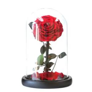 preserved rose in glass dome