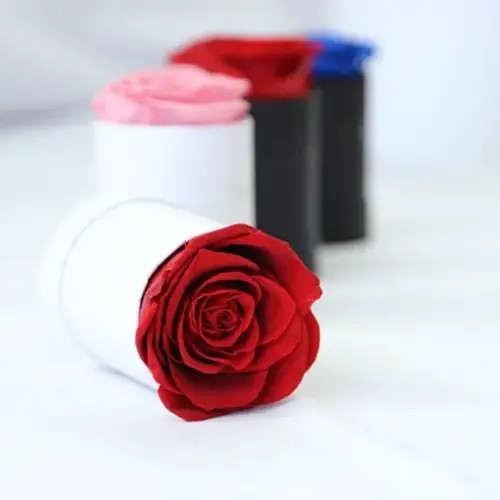 preserved rose with mini box 