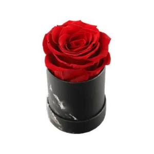 red forever rose with mini box