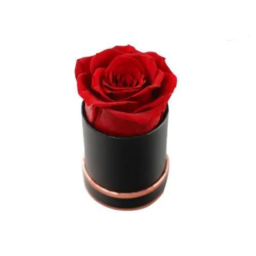 red forever rose with mini box