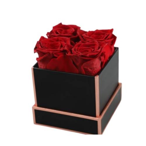 red preserved roses  