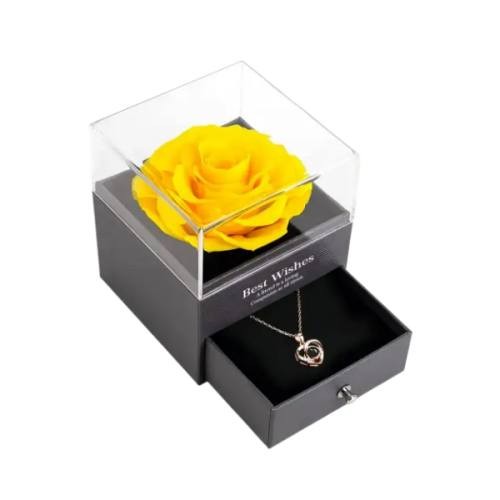 single rose in the acrylic box 